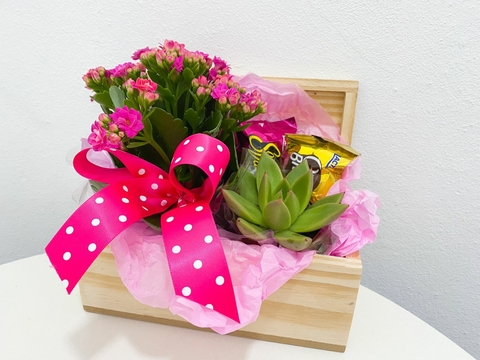 Bauzinho kalandiva e suculenta