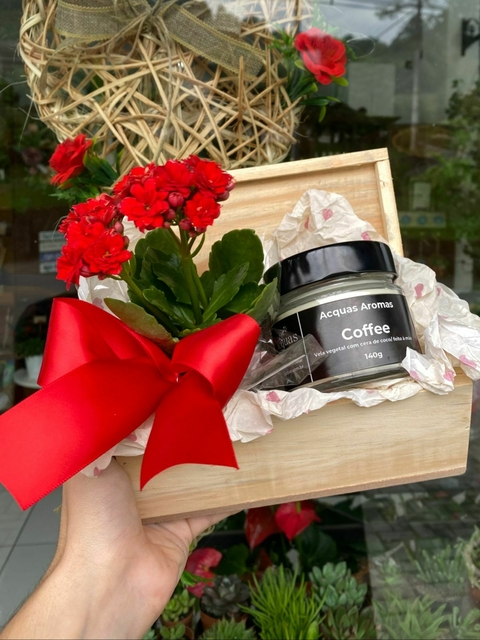 BAÚ KALANDIVA + VELA COFFEE