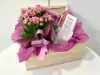 Baú kalandiva e creme para mãos Natura