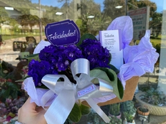 Cestinha com violeta + creme de mãos