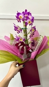 Orquídea Olho de Boneca - comprar online