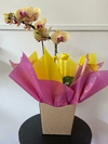 Orquídea Cascata - comprar online