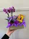 Baú doce orquídea - comprar online