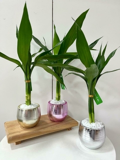 Bambu da sorte bolinha metálico - comprar online
