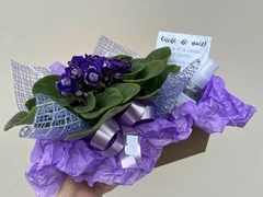 Cestinha Flor e Calmaria - comprar online