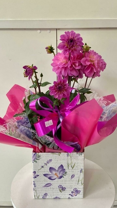 Dália Cor-de-Rosa - comprar online