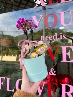 Box PP Micro Orquídea + Ferrero Rocher - comprar online