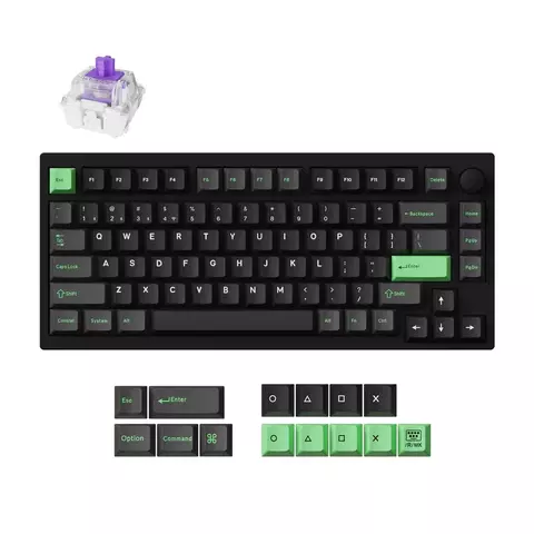 A02226 - Teclado Magnético Gamer Keychron P1 He Knob Version Wireless Inglés Us (Negro) - KEYCHRON - comprar online