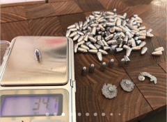 Ojiva cal.22/5.5 mm - 30 gn punta de penetración - Mil920 Airguns pellets