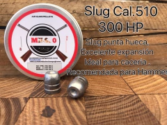 SLUGS CAL. 510 / 300 gn HP