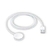 Cargador smartwatch Dt