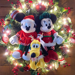 Guirlanda Disney 60cm na internet