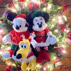 Guirlanda Disney 60cm na internet