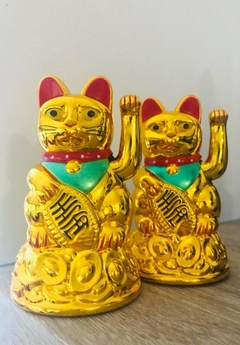 Fortuna Cat