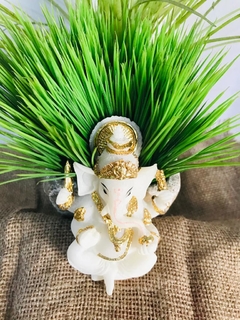 Ganesha White en internet