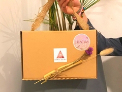Box amigo 2024