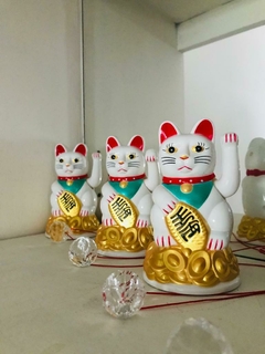 White CAT