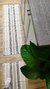 Tapete Passadeira Delicate 47x140cm - comprar online