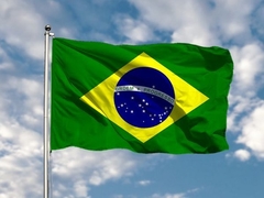 Banner da categoria Bandeiras Oficiais