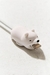 Comecables animalitos en internet
