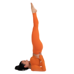 Legging eco (apricot) - Alma Marinha