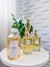 Daslu Sweet - REFIL - comprar online