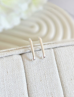 Brinco ear hook