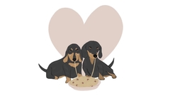 Banner da categoria Fofuras