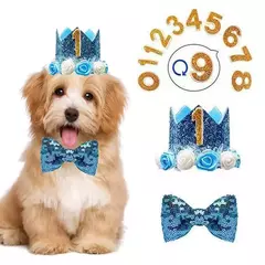 Imagem do Crown Hat com cola pontos para animais de estimação