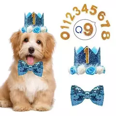 Crown Hat com cola pontos para animais de estimação - Criativa Ponto de Negócios