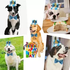 Crown Hat com cola pontos para animais de estimação
