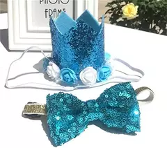 Imagem do Crown Hat com cola pontos para animais de estimação