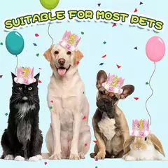 Crown Hat com cola pontos para animais de estimação - comprar online