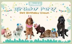 Crown Hat com cola pontos para animais de estimação na internet