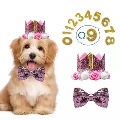 Crown Hat com cola pontos para animais de estimação na internet