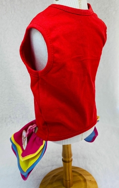 Vestido Arco-íris na internet