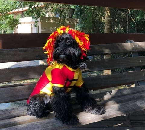 Emília Fantasia Pet