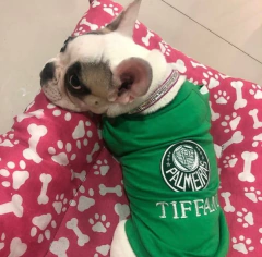 Blusinhas Times do Coração Times Diversos na internet