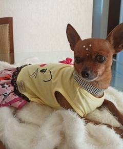 VESTIDO GATINHA