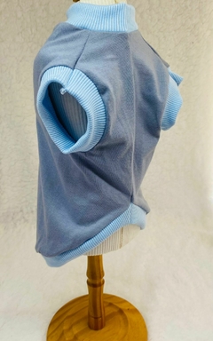 Regata Meu Pet Astronauta na internet