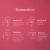 COLETOR MENSTRUAL L (GRANDE) - loja online