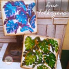 Duo Folhagens - comprar online