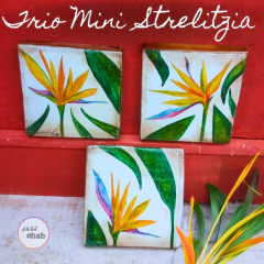 Imagem do Trio Mini Strelitzias