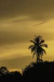 Céu Degradê