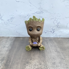 Groot con Pajaritos