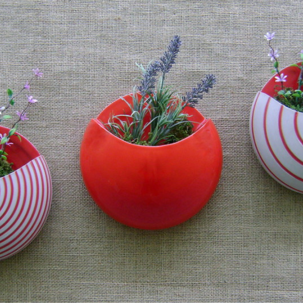 Vasos de Parede