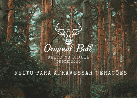 Carrossel 1