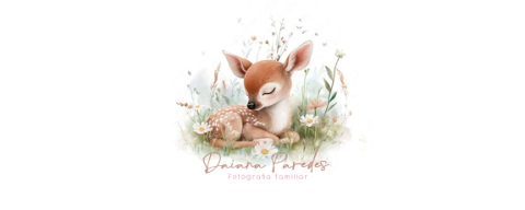 Day Paredes Fotografia