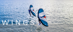 Banner de la categoría WINGS