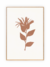 Conjunto 2 Quadros - Abstract Botanic Boho - comprar online